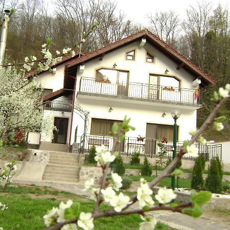 Pension Casa Natura เบยเล เฮร์คูลาเน ภายนอก รูปภาพ