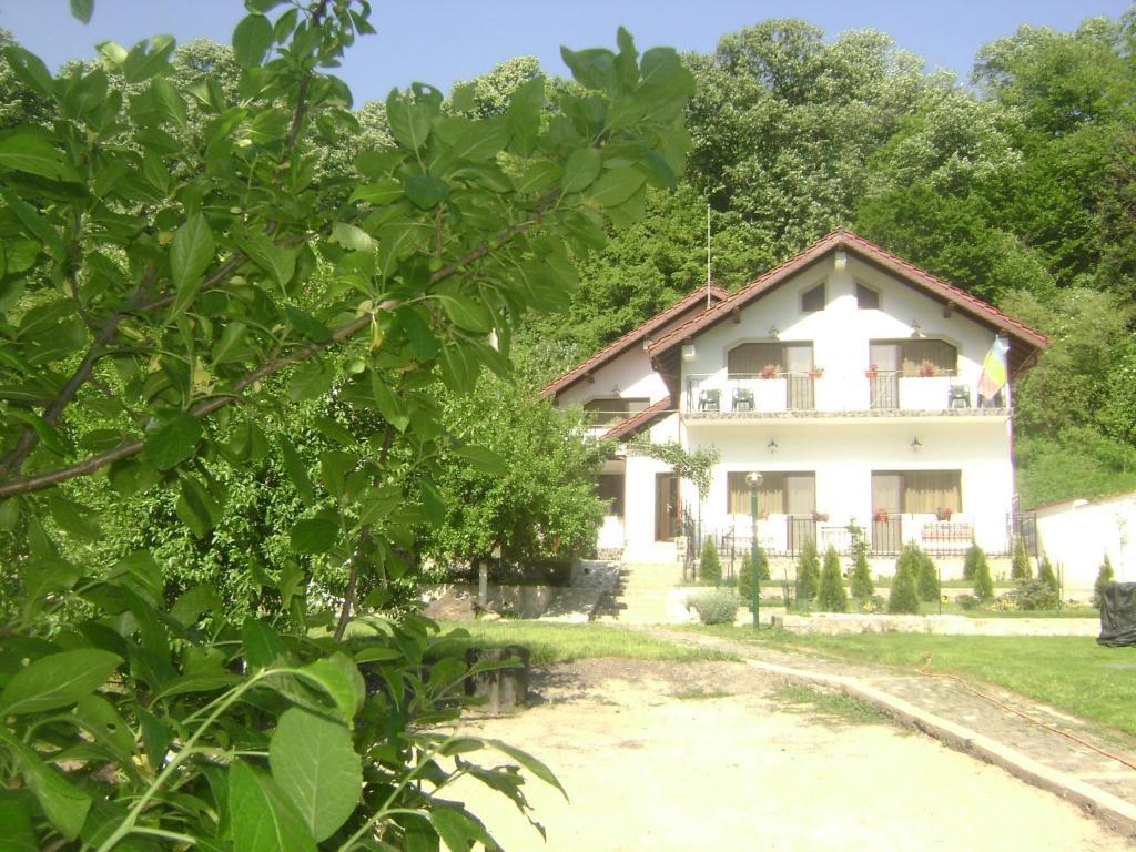 Pension Casa Natura เบยเล เฮร์คูลาเน ภายนอก รูปภาพ