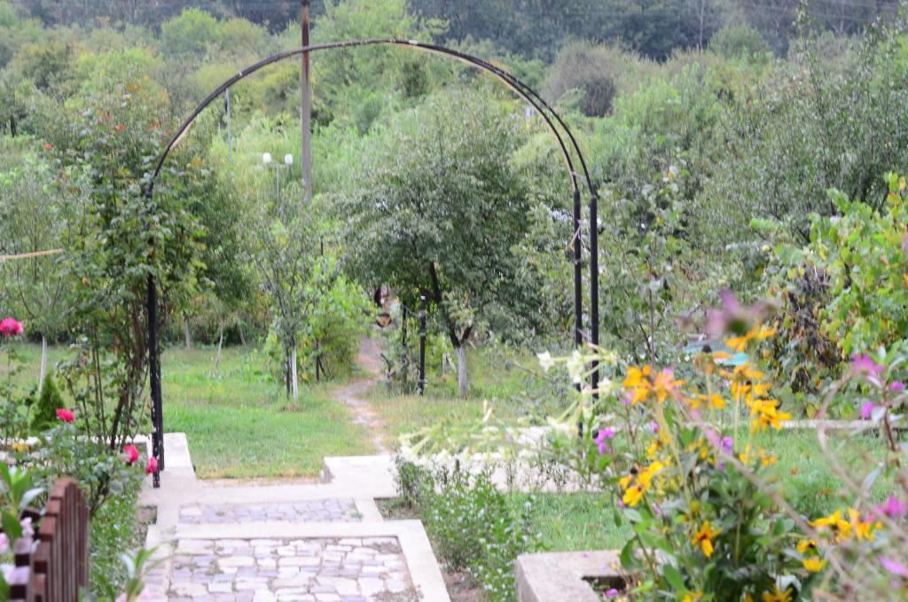 Pension Casa Natura เบยเล เฮร์คูลาเน ภายนอก รูปภาพ