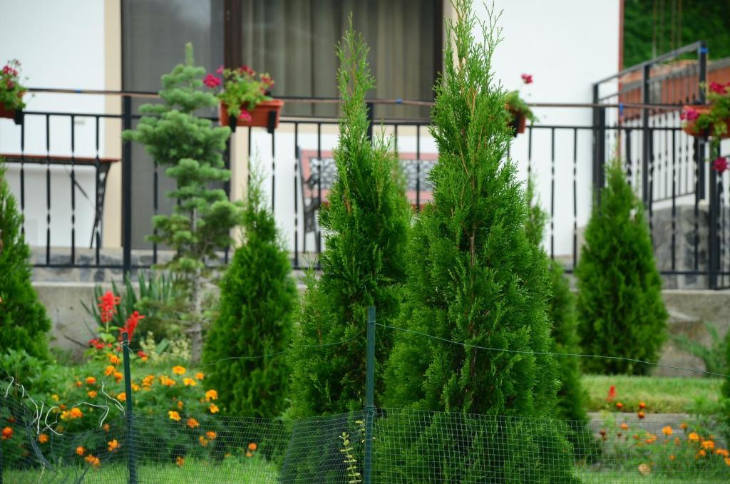 Pension Casa Natura เบยเล เฮร์คูลาเน ภายนอก รูปภาพ