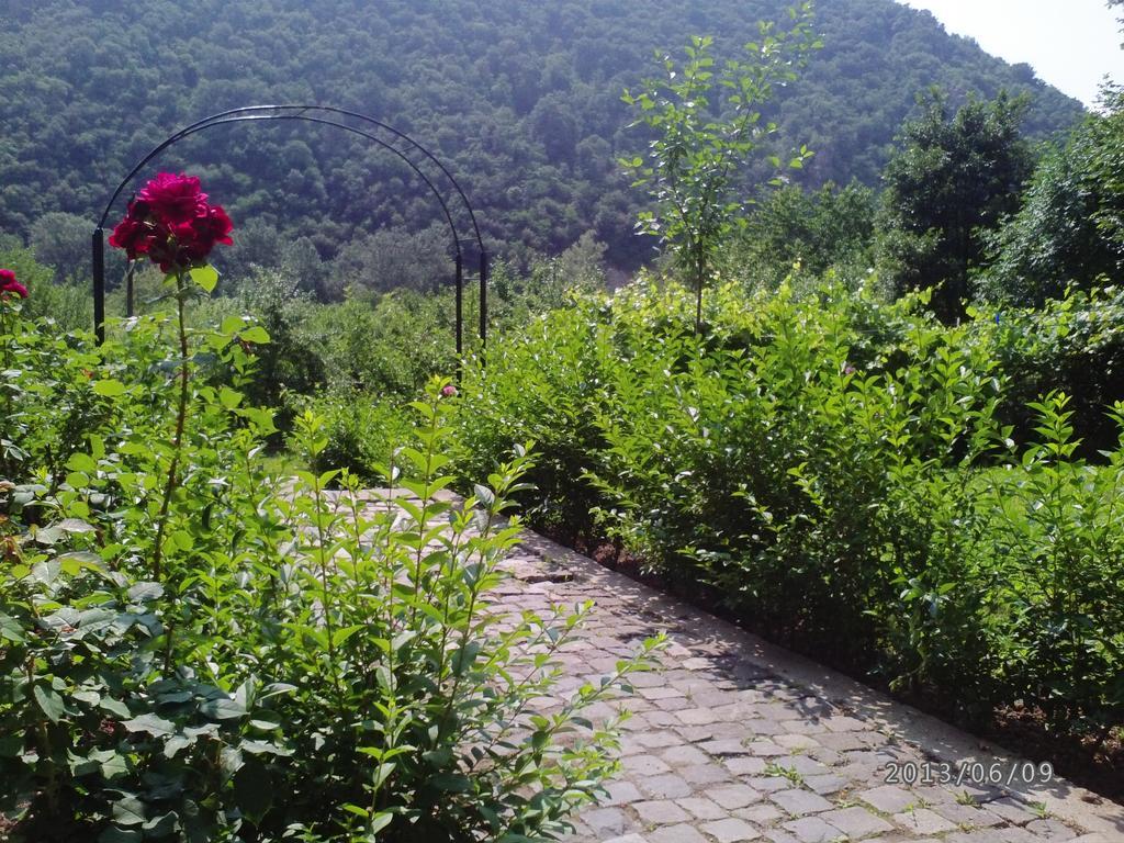 Pension Casa Natura เบยเล เฮร์คูลาเน ภายนอก รูปภาพ