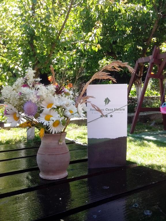 Pension Casa Natura เบยเล เฮร์คูลาเน ภายนอก รูปภาพ