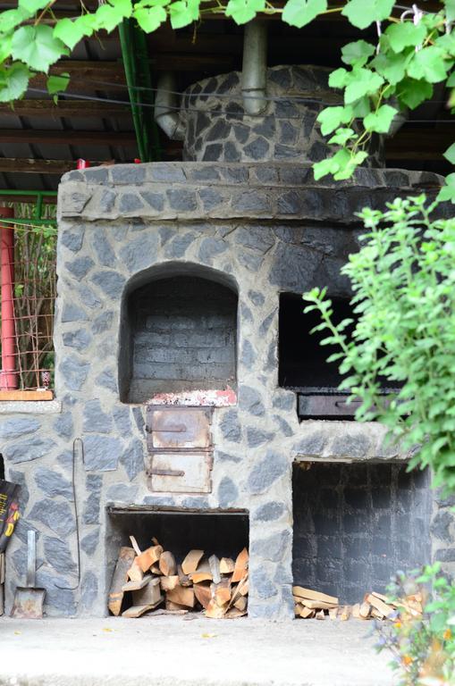Pension Casa Natura เบยเล เฮร์คูลาเน ภายนอก รูปภาพ